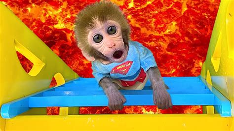 monkey baby bon bon youtube